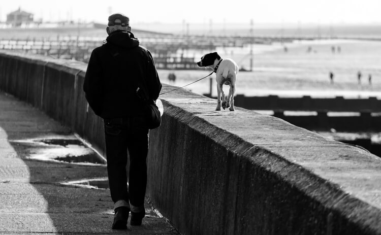 大阪で犬好きを全面に出しまくっているおじさんに遭遇した!!